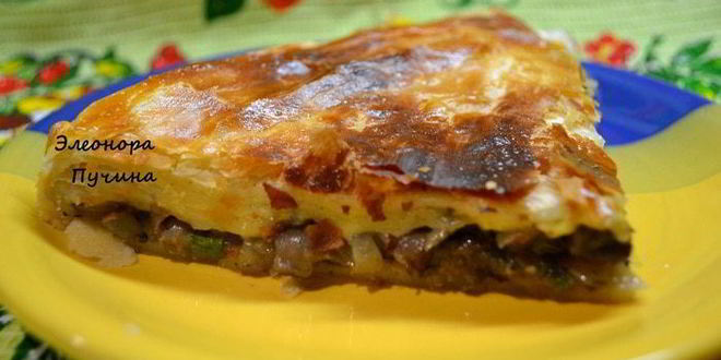 Рецепт ухи в горшочке с грибным пирогом