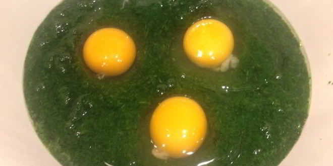 Рецепт шпинатных блинчиков