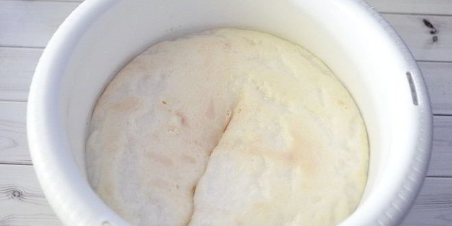 Рецепт булочек с курагой