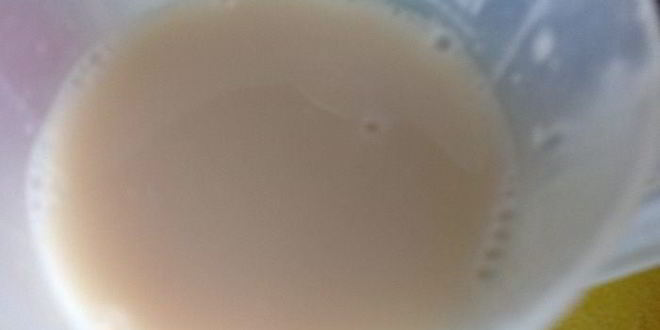 Рецепт сырных булочек с базиликом на картофельно-дрожжевом тесте