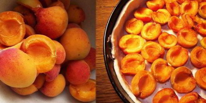 Рецепт чизкейка с абрикосами