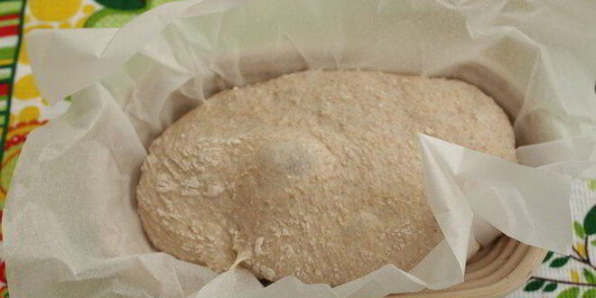 Рецепт хлеба на твороге с мукой