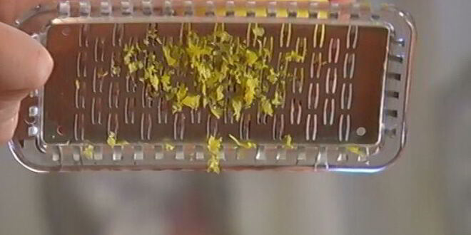 Рецепт сардинок с легким салатом и чипсами из лаваша