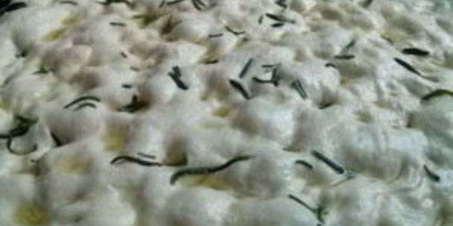 Рецепт фокаччи классической