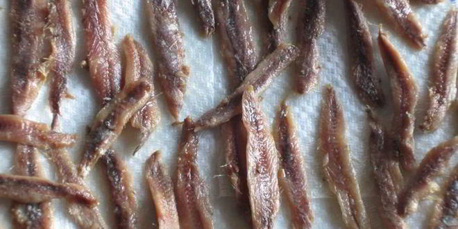 Рецепт фокаччи писсаладьер