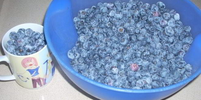 Рецепт ягодных маффинов