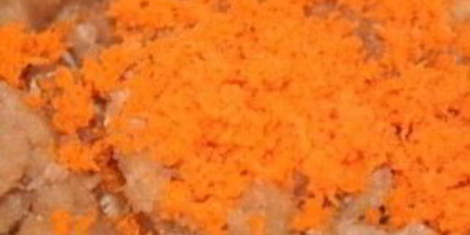 Рецепт оладий из топинамбура