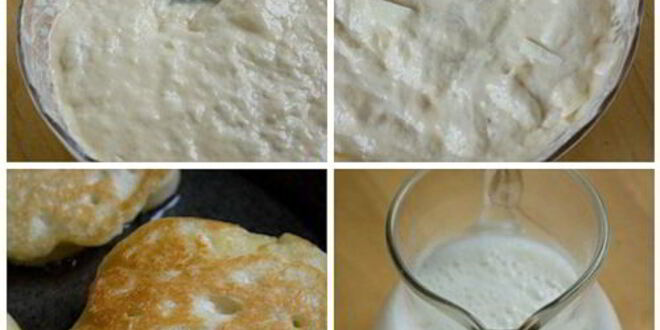 Рецепт оладий на дрожжевом тесте с яблоками