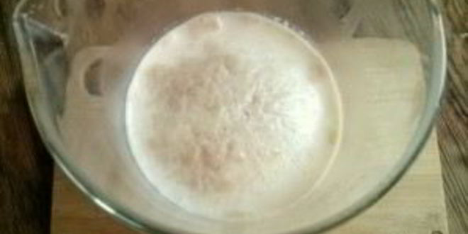 Рецепт оладий на молоке с дрожжами