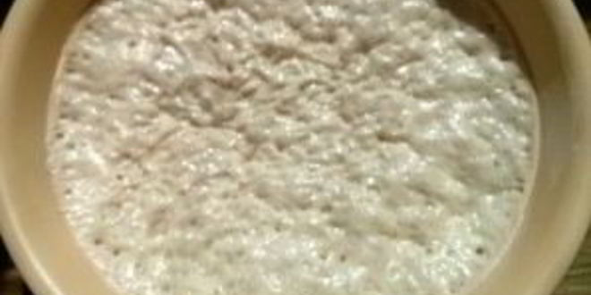 Рецепт оладий на молоке с дрожжами