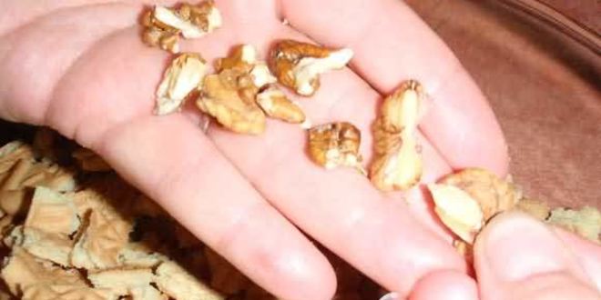 Рецепт колбаски сладкой из печенья