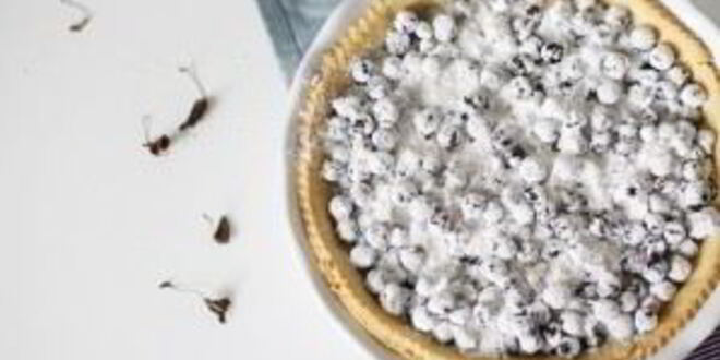 Рецепт песочного пирога со смородиной