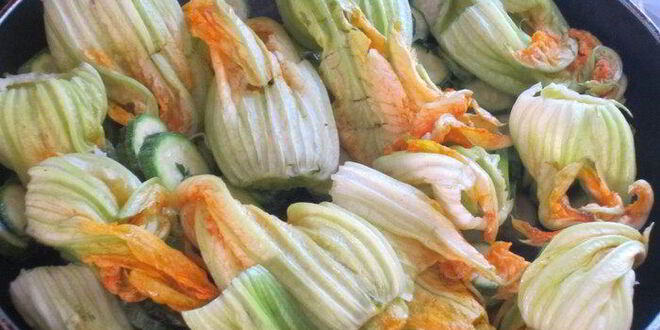 Рецепт пирога с цветками цукини и моцареллой