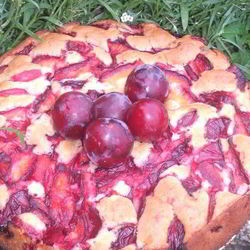 Рецепт Пирога Сливовое Наслаждение