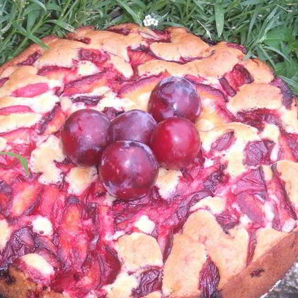 Рецепт Пирога Сливовое Наслаждение