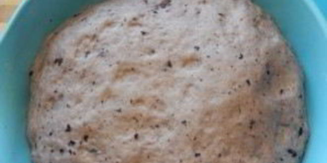 Рецепт пирожков с черникой на кефире