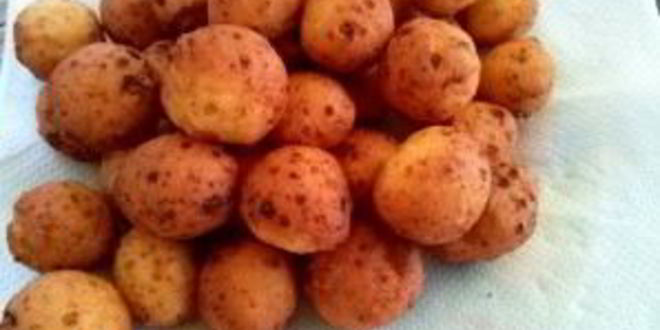 Рецепт пончиков из творога