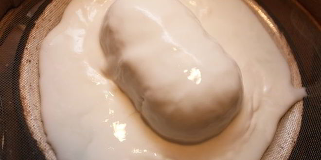 Рецепт имбирной коврижки на меду