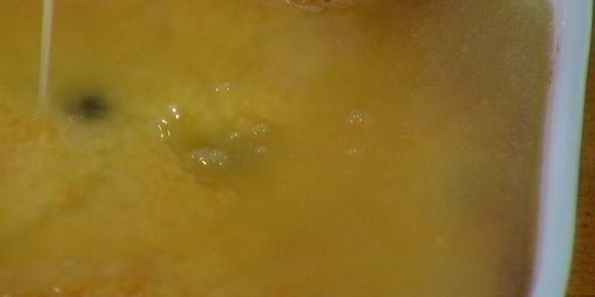 Рецепт лимонной шарлотки с голубикой