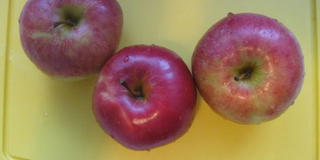 Рецепт шарлотки неправильной