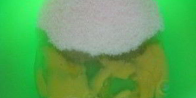 Рецепт яблочной шарлотки в духовке