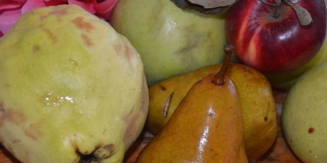 Рецепт фруктового штруделя