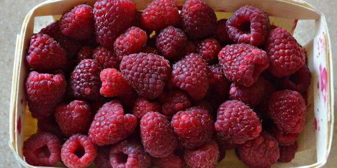 Рецепт штруделя с творогом, малиной и грушей