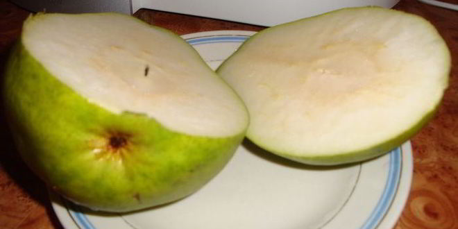 Рецепт слоек по-киевски с творогом