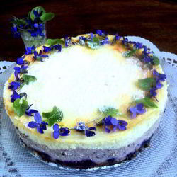 Рецепт Сырника с черникой Фиалки