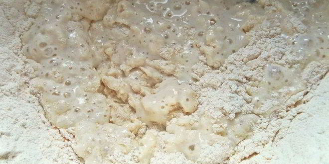 Рецепт теста для пиццы