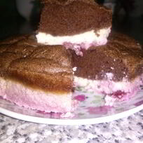 Шоколадный творожный торт без сахара