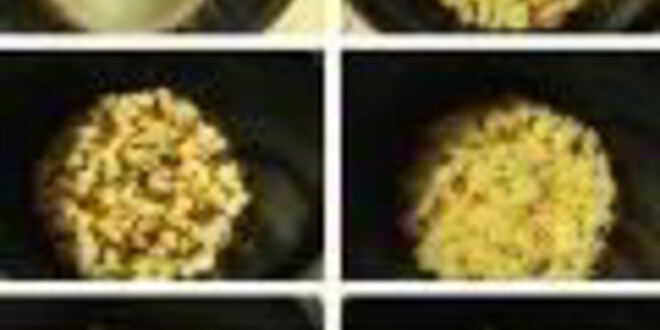 Рецепт куриной запеканки с сыром и чесночными гренками из мультиварки