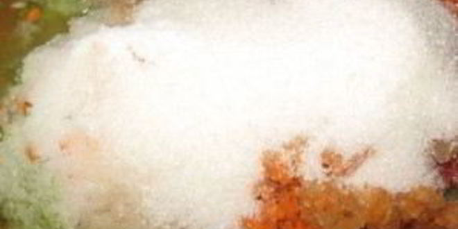 Рецепт аджики из кабачков на зиму