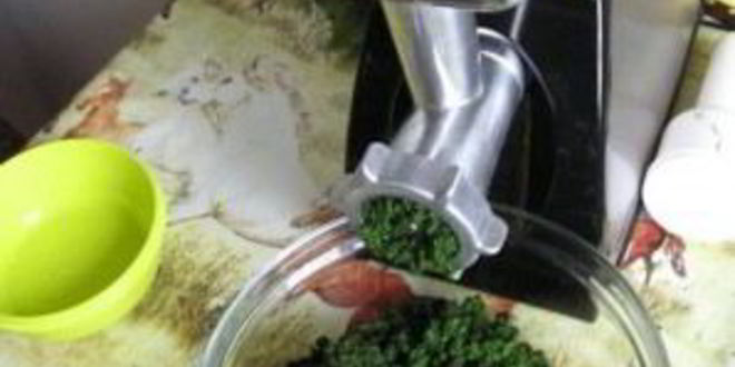 Рецепт аджики из петрушки на зиму