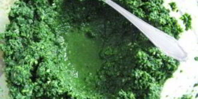 Рецепт аджики из петрушки на зиму