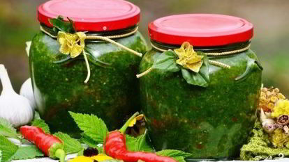 Рецепт Аджики из петрушки