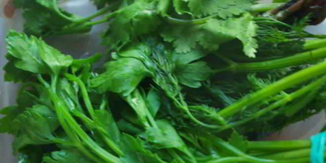 Рецепт аджики холодным способом