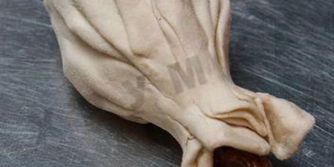 Рецепт куриных голеней с аджикой в слоеном тесте