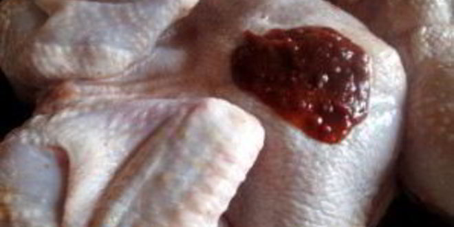 Рецепт курицы в духовке с аджикой