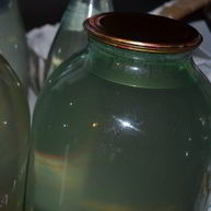 Рецепт Березового сока на зиму