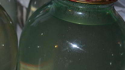 Рецепт Березового сока на зиму