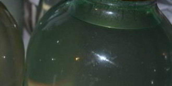 Рецепт березового сока на зиму