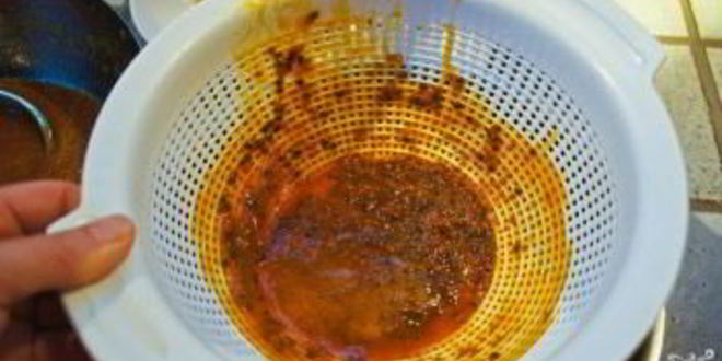 Рецепт джема из кактуса