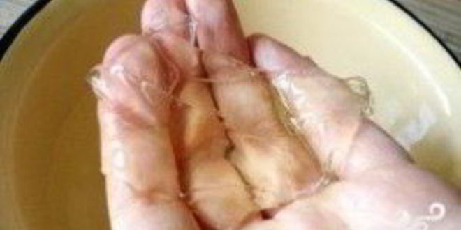 Рецепт джема из киви