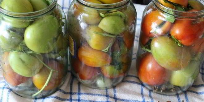 Рецепт фаршированных зеленых помидоров на зиму