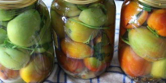 Рецепт фаршированных зеленых помидоров на зиму