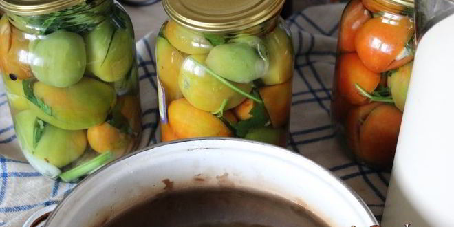 Рецепт фаршированных зеленых помидоров на зиму