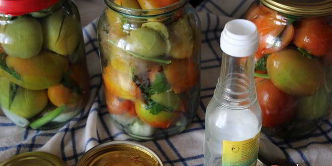 Рецепт фаршированных зеленых помидоров на зиму