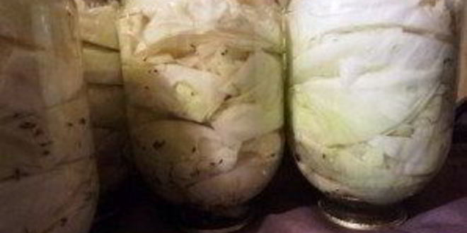 Рецепт капусты на зиму кусочками