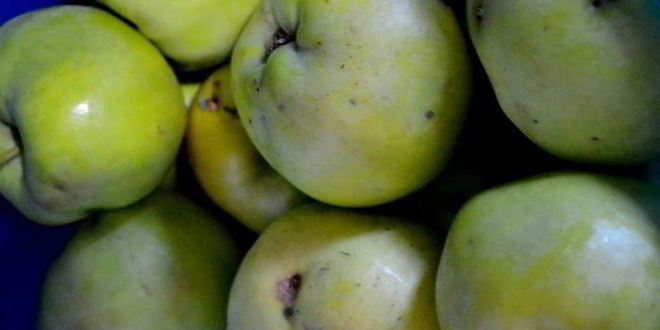 Рецепт компота для мужа